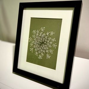 ⚘  Framed Wildlowers ⚘